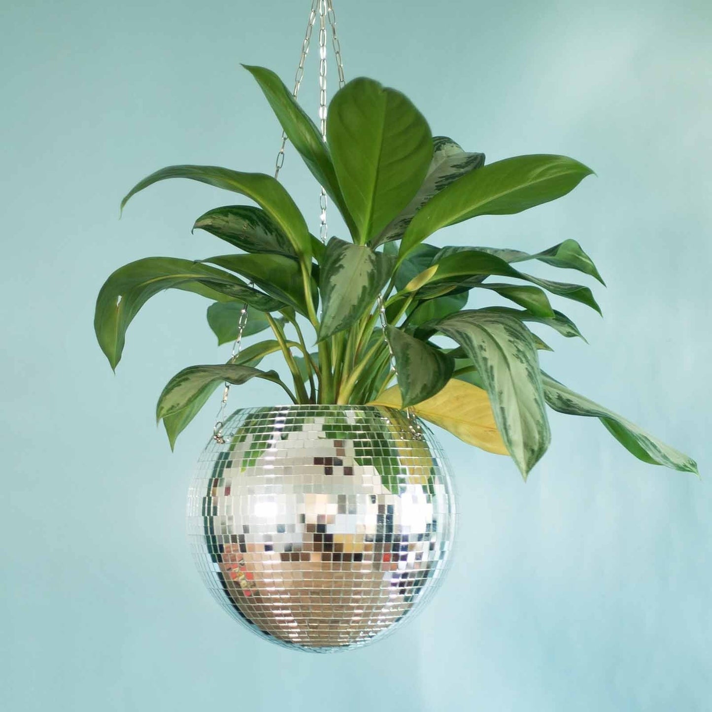 Self-Watering Disco Ball Planter